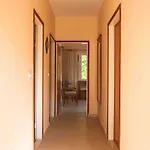 Apartman Jelena *