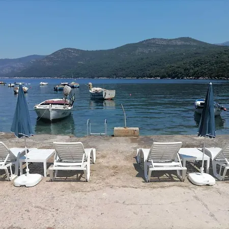 Jelena Apartman Molunat