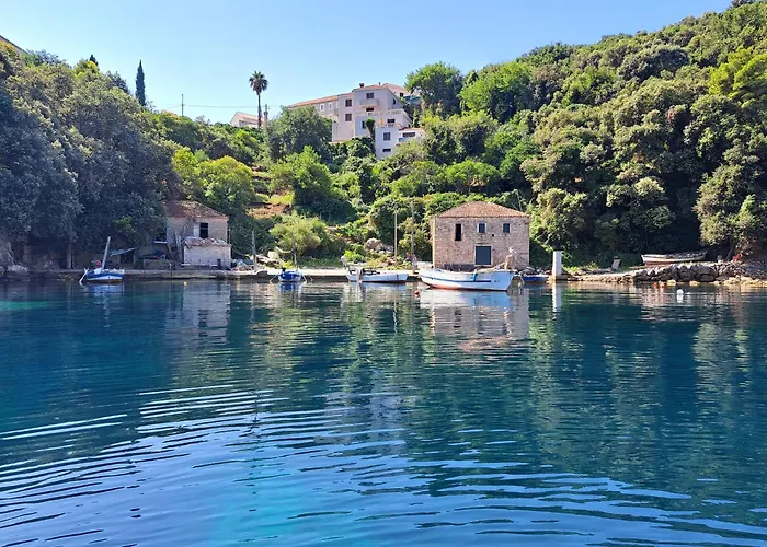 Daire Jelena Molunat