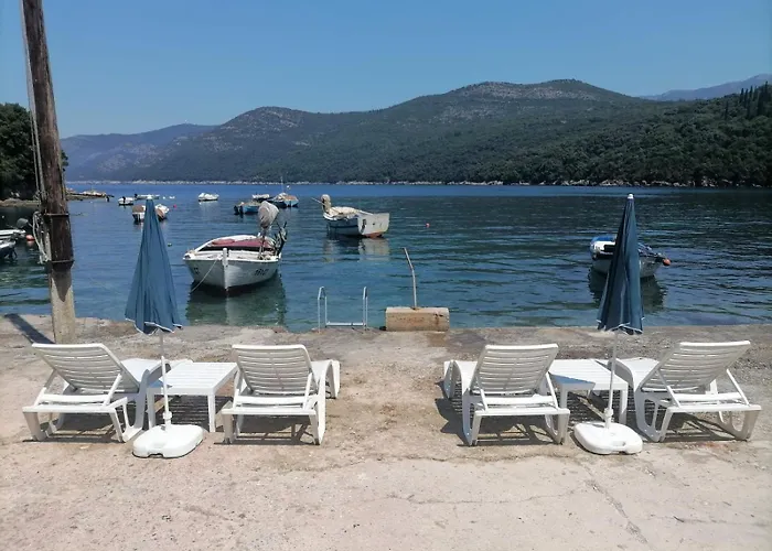 Jelena Daire Molunat