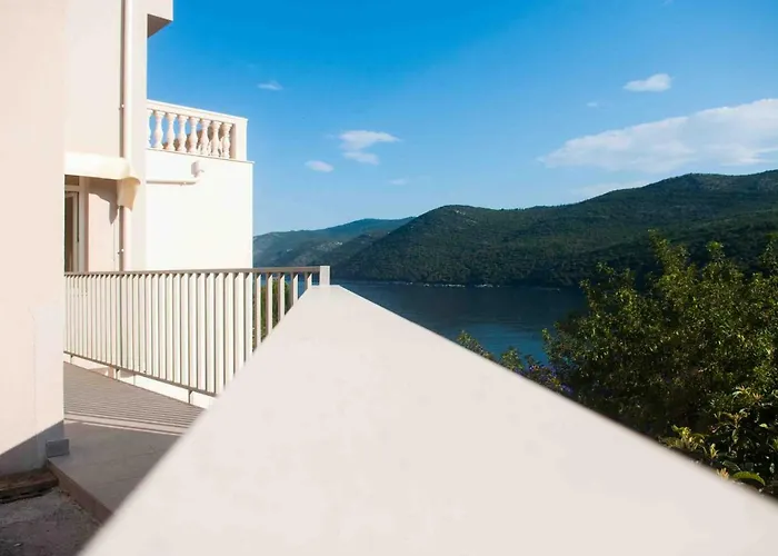 Daire Jelena Molunat